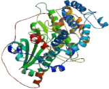 G Protein Coupled Receptor Kinase 1 (GRK1)