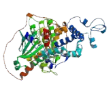 G Protein Coupled Receptor Kinase 7 (GRK7)