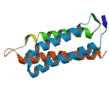 G Protein Coupled Receptor Kinase Interactor 2 (GIT2)