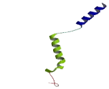 G Protein Gamma 10 (GNg10)