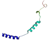 G Protein Gamma 11 (GNg11)