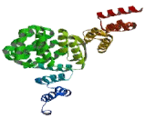 G Protein Signaling Modulator 2 (GPSM2)