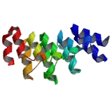 GA Binding Protein Transcription Factor Beta (GABPb)