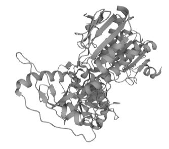 Gag-Pol polyprotein, MoMLV (Pr180gag-pol)