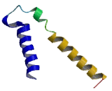 Gamma-Aminobutyric Acid A Receptor Pi (gABRp)