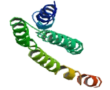 Geminin Coiled Coil Domain Containing Protein 1 (GEMC1)