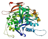 Glutamate Receptor, Metabotropic 5 (GRM5)