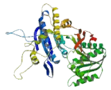 Glutamate Receptor, Metabotropic 7 (GRM7)