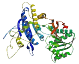 Glutamate Receptor, Metabotropic 8 (GRM8)