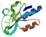Glycerophosphodiester Phosphodiesterase Domain Containing Protein 1 (GDPD1)