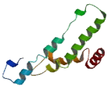 Glycosyltransferase Like Protein 1B (GYLTL1B)