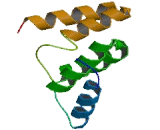 HSP70 Binding Protein 21 (HBP21)