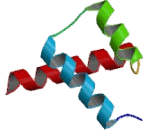 Homeobox Protein A2 (HOXA2)