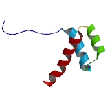 Homeobox Protein C13 (HOXC13)