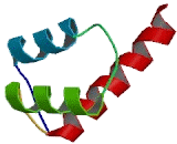 Homeobox Protein C4 (HOXC4)