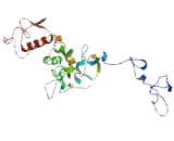 Hyaluronan Binding Protein 4 (HABP4)