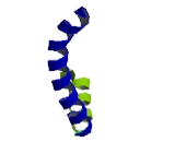 IQ Motif Containing Protein F5 (IQCF5)