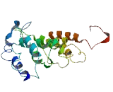 Integral Membrane Protein 2A (ITM2A)