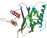 Integrin Linked Kinase Associated Serine/Threonine Phosphatase 2C (ILKAP)