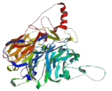 Intraflagellar Transport Protein 122 (IFT122)