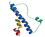Intraflagellar Transport Protein 52 (IFT52)