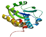 Isochorismatase Domain Containing Protein 2 (ISOC2)