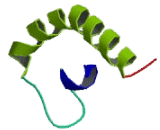 KDEL Endoplasmic Reticulum Protein Retention Receptor 2 (KDELR2)