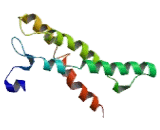 KDEL Endoplasmic Reticulum Protein Retention Receptor 3 (KDELR3)