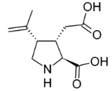 Kainic Acid (KA)
