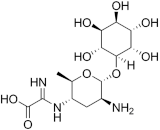 Kasugamycin (KSG)