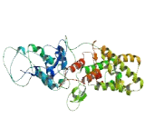 Kinase Non Catalytic-C-Lobe Domain Containing Protein 1 (KNDC1)