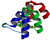Krev Interaction Trapped Protein 1 (KRIT1)