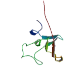 Kringle Containing Transmembrane Protein 1 (KREMEN1)