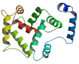 Kv Channel Interacting Protein 2 (KCNIP2)