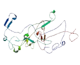 RNA Binding Motif Protein, X-Linked Like Protein 1 (RBMXL1)