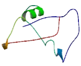 Protein LCHN (LCHN)