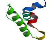 LIM And Calponin Homology Domains Containing Protein 1 (LIMCH1)