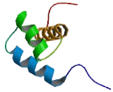 LIM Homeobox Protein 3 (LHX3)