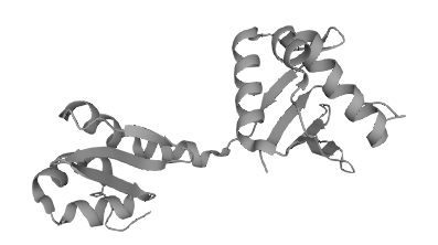 LINE-1 retrotransposable element ORF1 protein (L1ORF1p)