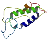 LYR Motif Containing Protein 1 (LYRM1)