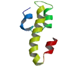 LYR Motif Containing Protein 5 (LYRM5)