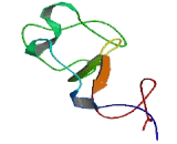 Late Cornified Envelope Protein 2A (LCE2A)
