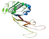 Leucine Rich Repeat Immunoglobulin Like And Transmembrane Domains Protein 3 (LRIT3)