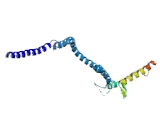 Leucine Zipper Protein 2 (LUZP2)