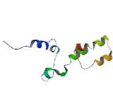 Leukocyte Receptor Cluster Member 1 (LENG1)