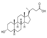Lithocholic Acid (LCA)