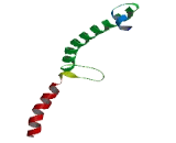 LysM And Putative Peptidoglycan Binding Domain Containing Protein 3 (LYSMD3)