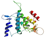 Lysosomal Protein Transmembrane 4 Beta (LAPTM4b)
