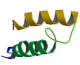 Lysosomal Protein Transmembrane 5 (LAPTM5)