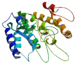 MAP3K12 Binding Inhibitory Protein 1 (MBIP)